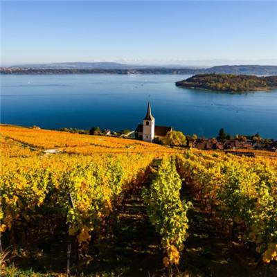 芒果体育app下载