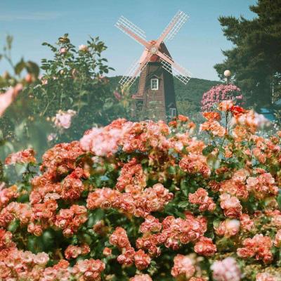 博鱼(boyu)·体育截图